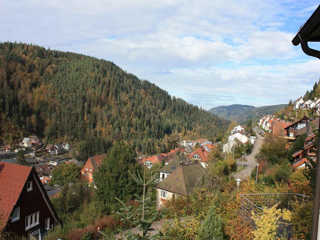 Ferienwohnung King Triberg im Schwarzwald Екстер'єр фото